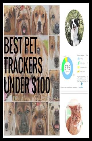 best pet trackers under $100