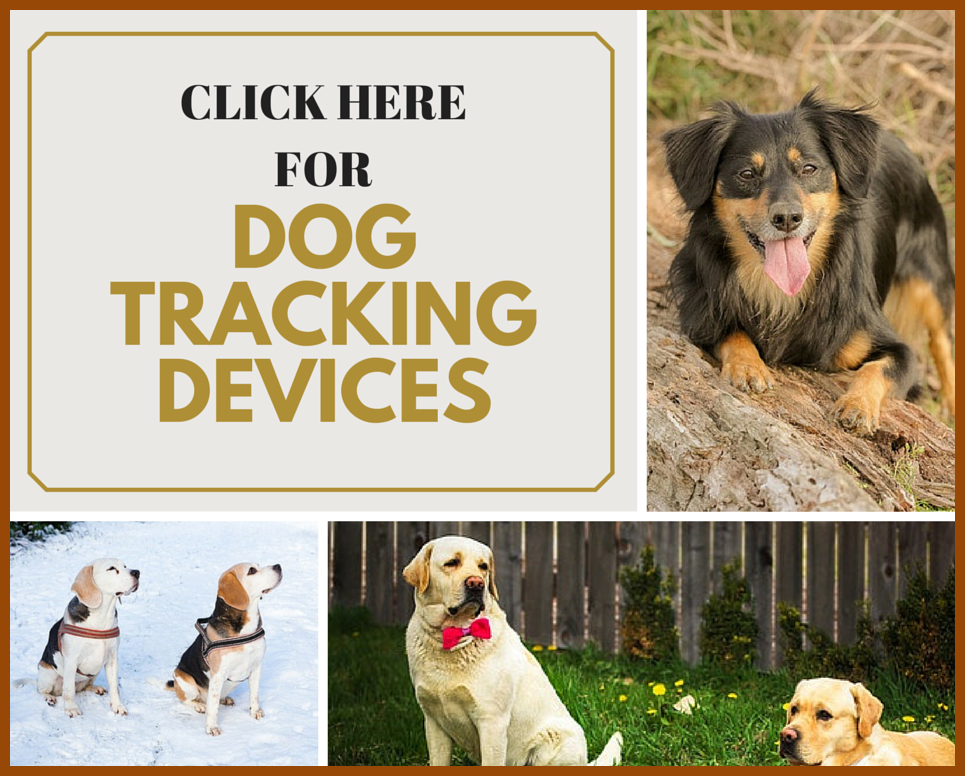 clickherefordogtrackingdevices