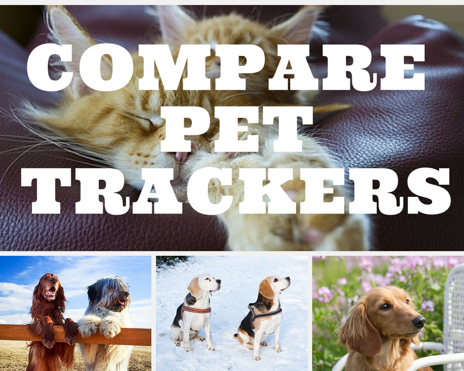 compare pet trackers