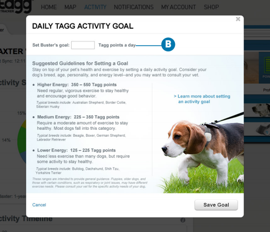 daily Tagg activity goal