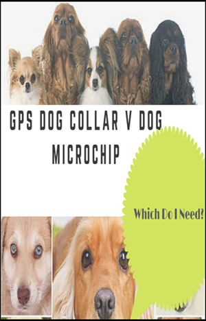 gps dog collar versus dog microchip