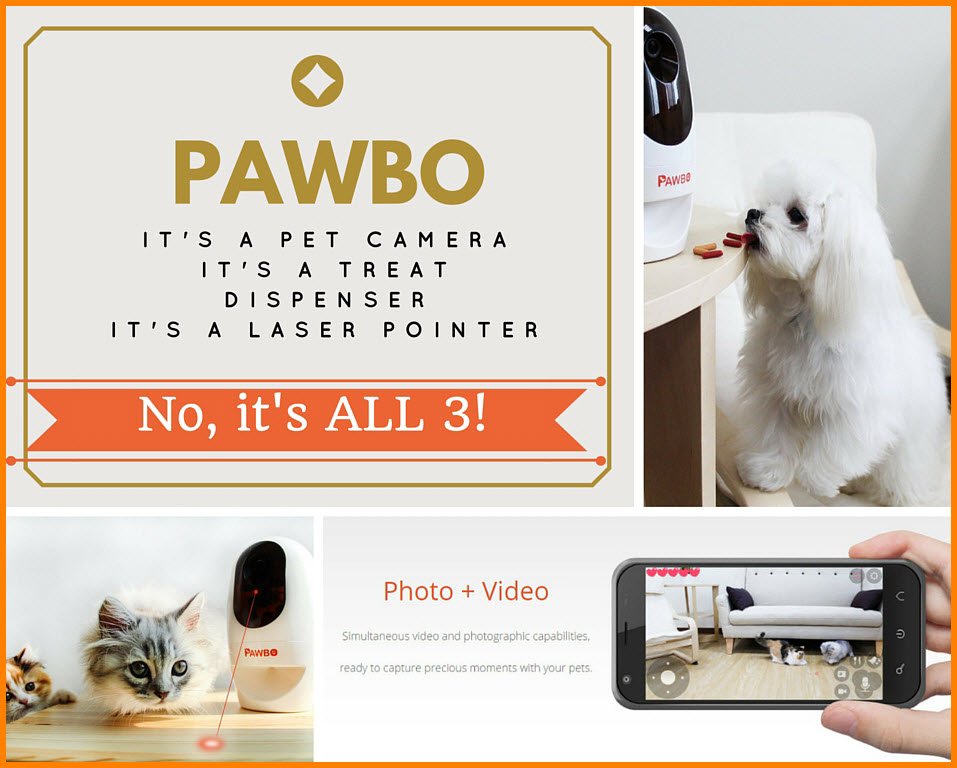 pawbo review