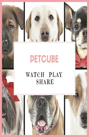 Petcube watch play share