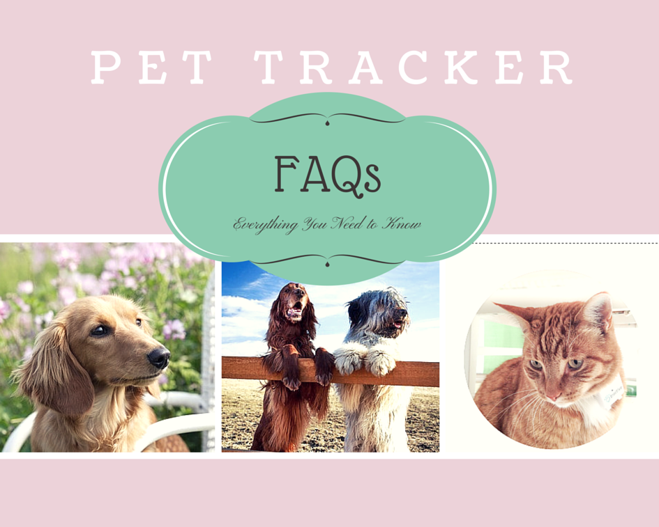 pet tracker frequently asked questions