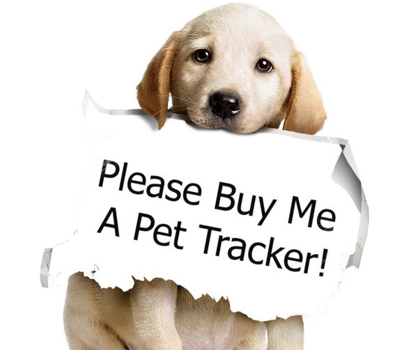 pleasebuymeapettracker