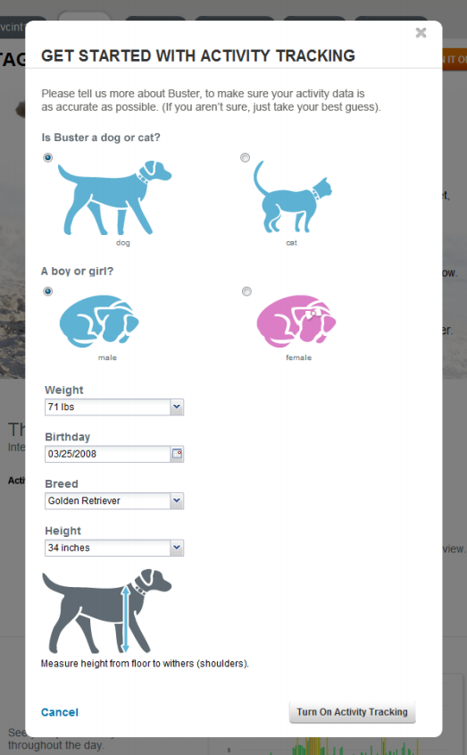 tagg activity tracking